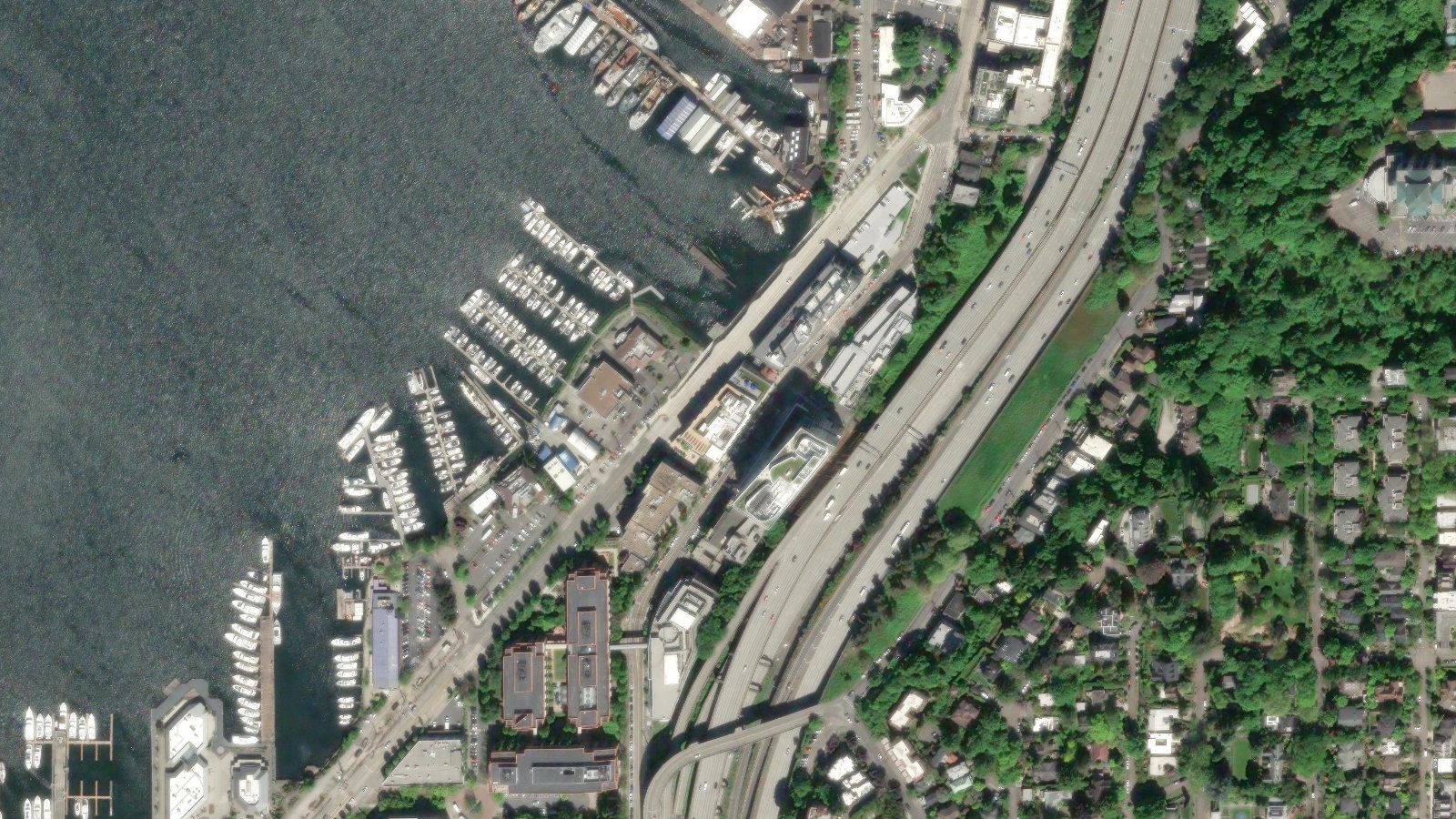 1165 EASTLAKE AVE E, SEATTLE, WA(本社・衛星)