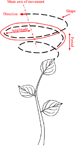 Circumnutation