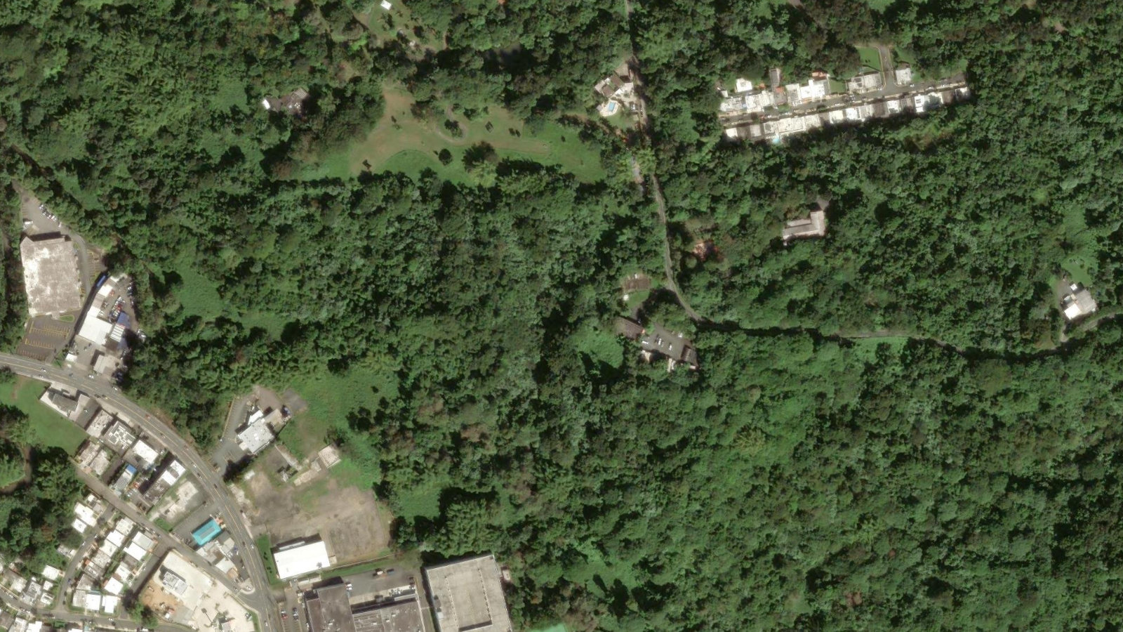 254 MU?OZ RIVERA AVENUE, SAN JUAN, PR（本社・衛星）