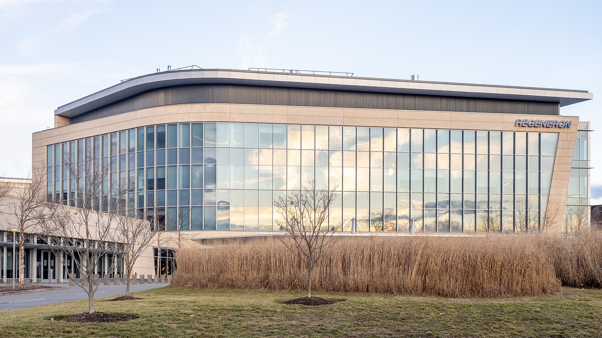 Regeneron Pharmaceuticals (52641236716)