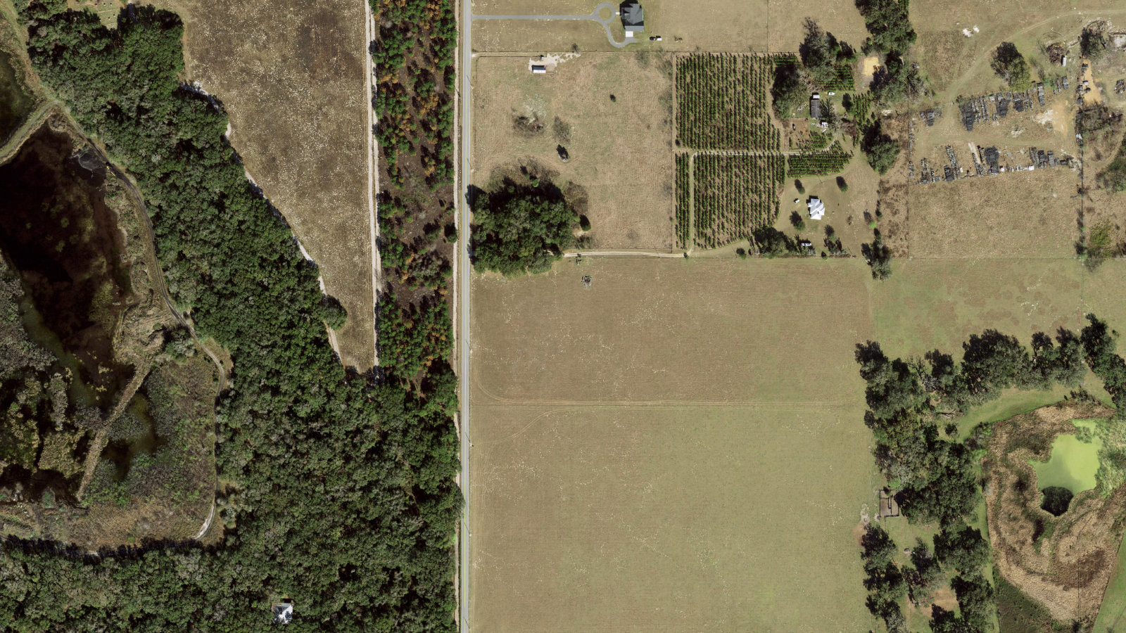 1 RAYONIER WAY, WILDLIGHT, FL(本社・衛星)
