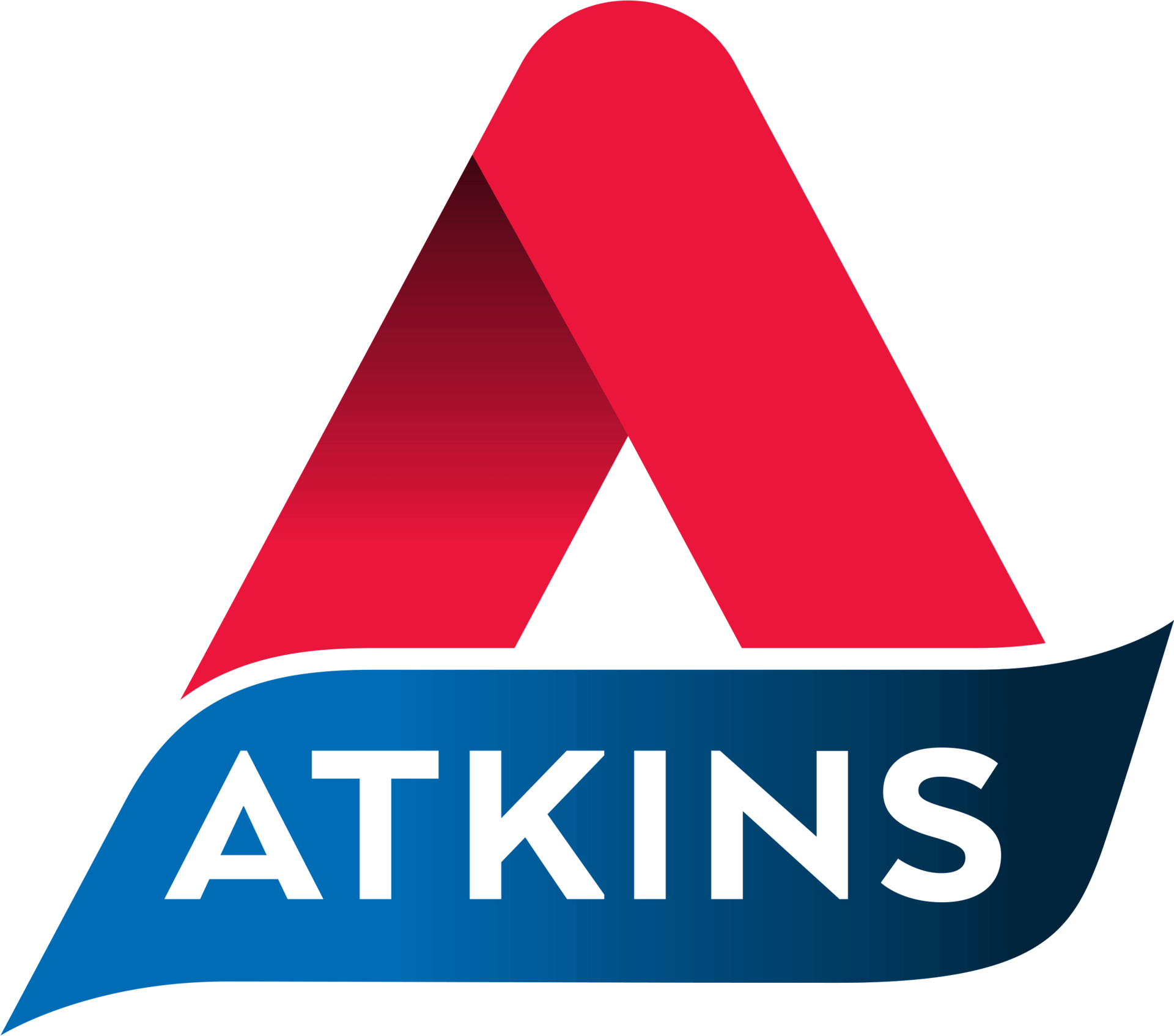 Atkins 2017