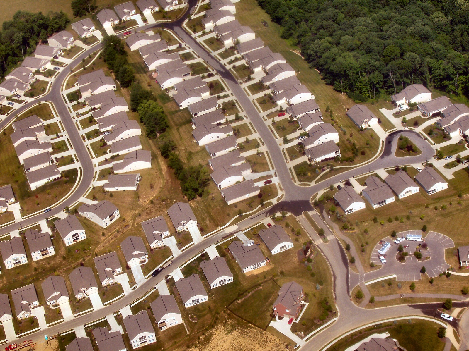晴天の下、緑に囲まれて整然と並ぶ米国郊外の住宅地を上空から見た写真